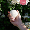 Nectar Stone | Moisturizing Lotion Bar